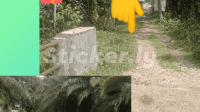 -522907601