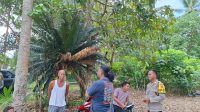IMG-20250617-WA0006