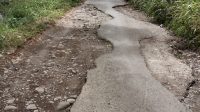 IMG-20250804-WA0013
